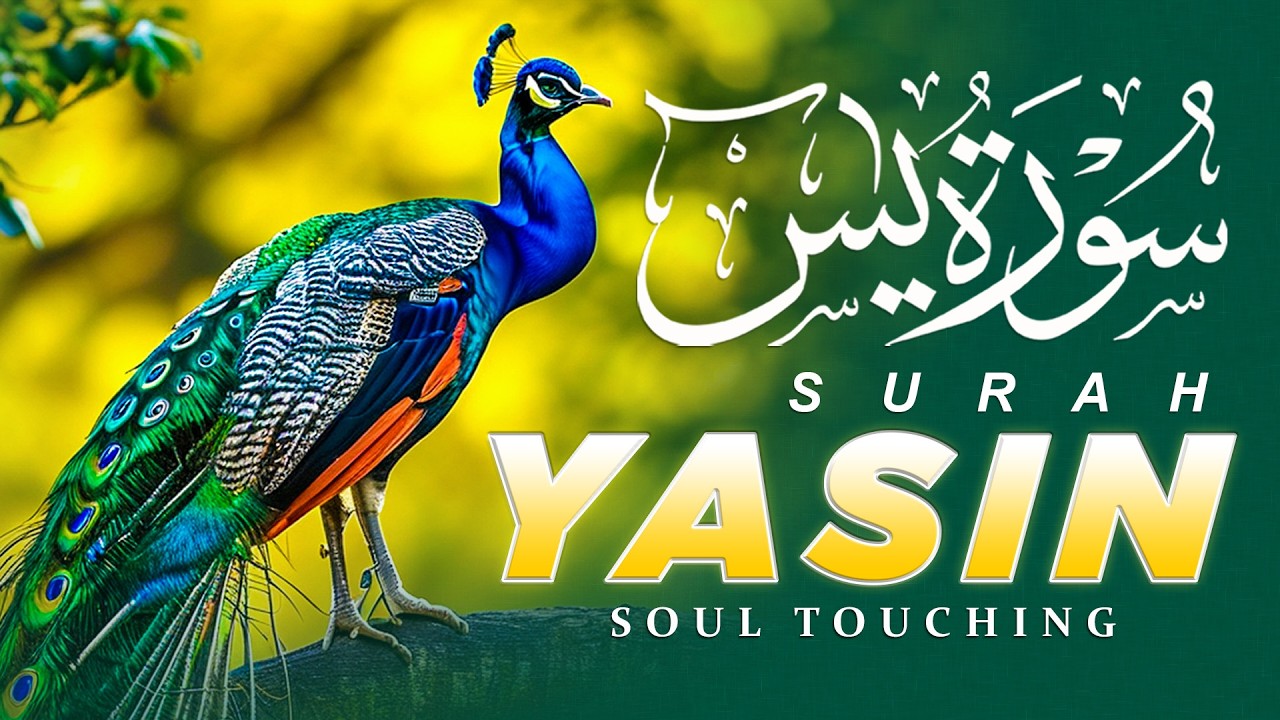 Surah Yasin (Yaseen) Full 🕌 DUA for RIZQ, WEALTH, GOOD JOB & SUCCESS 🕌 Beautiful Quran