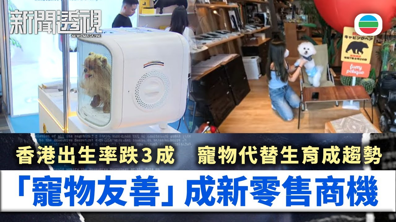 新聞透視｜出生率跌養寵物增　「寵物友善」成新零售商機｜（繁／簡字幕）｜無綫新聞 ｜TVB News