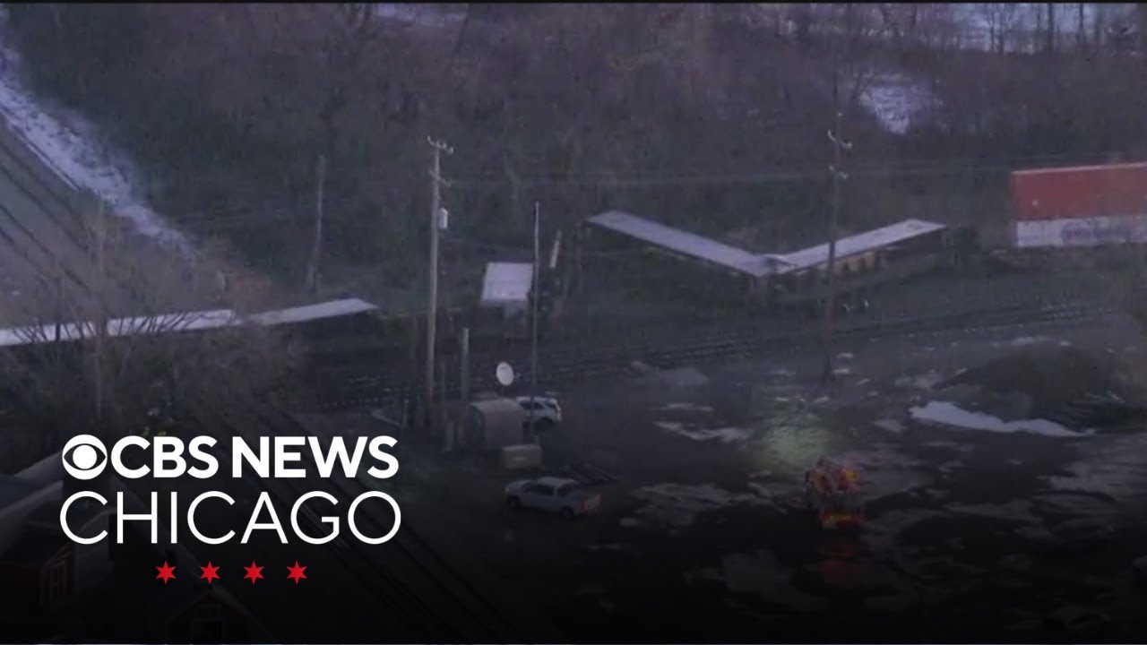 Freight train derailment reported near Chicago Ridge