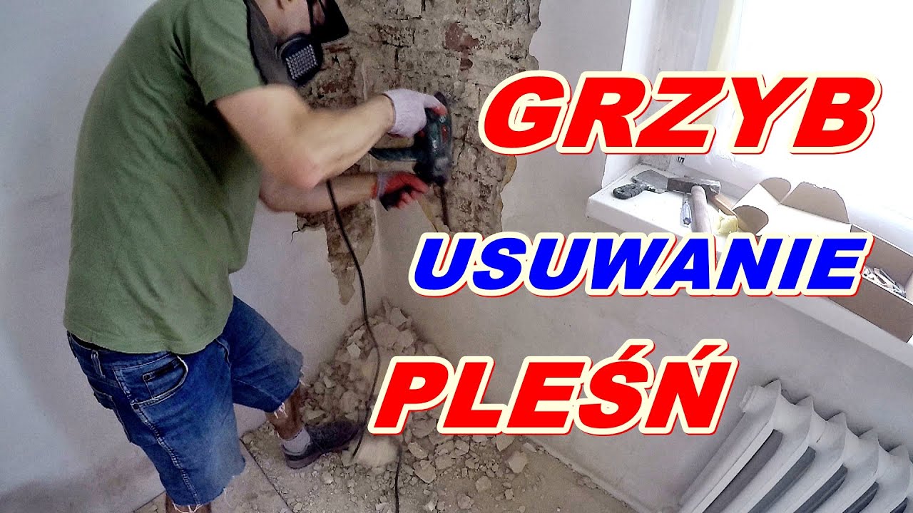 Jak usunąć grzyb pleśń ze ściany - naturalny i ekologiczny spos&oacute;b