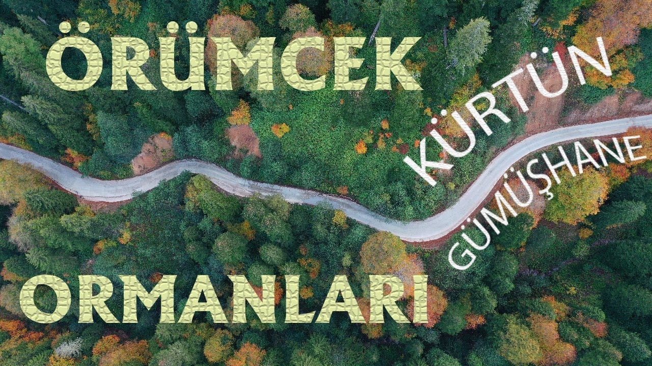 &Ouml;R&Uuml;MCEK ORMANLARI / SPIDER FOREST / K&Uuml;RT&Uuml;N / G&Uuml;M&Uuml;ŞHANE /AUTUMN / DRONE / TURKEY