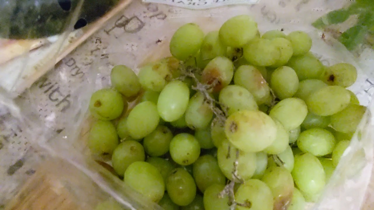 Tips for Picking the best Grape 🍇🍇 at the Grocery store