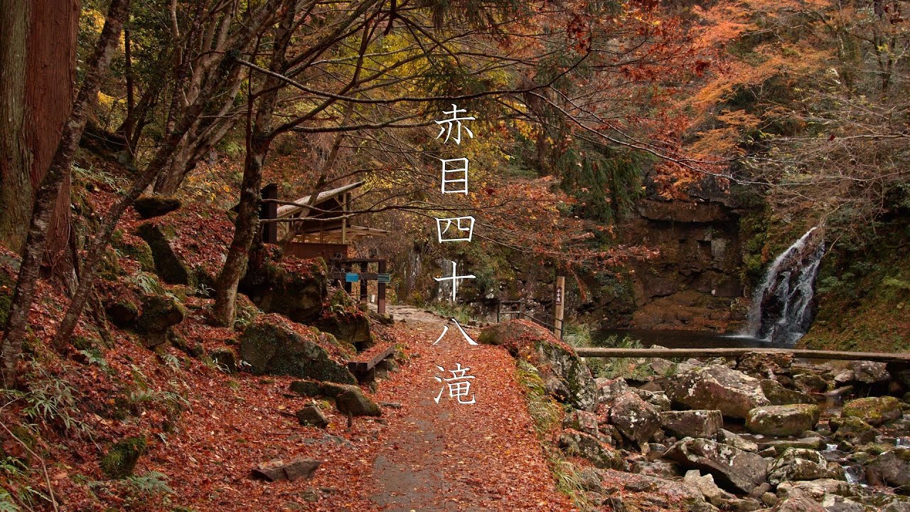 晩秋の赤目四十八滝 : A Relaxing Virtual Walk Through Akame 48 Waterfalls（Mie, Japan）