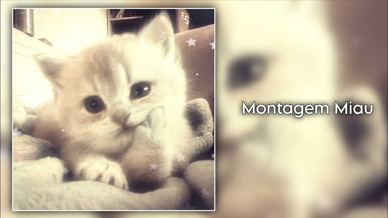 phonk/funk edit audios to vibe at 3am 🤍🌷