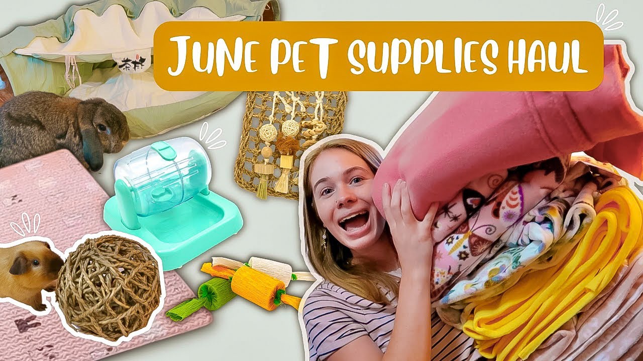 GUINEA PIG & BUNNY SUPPLIES HAUL ❤ JUNE '22