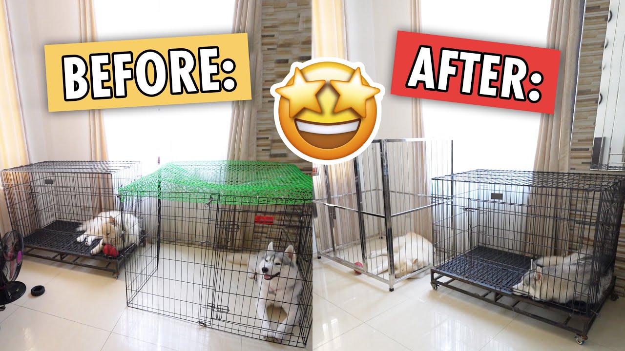 MAY BAGONG CAGE NA SILA!