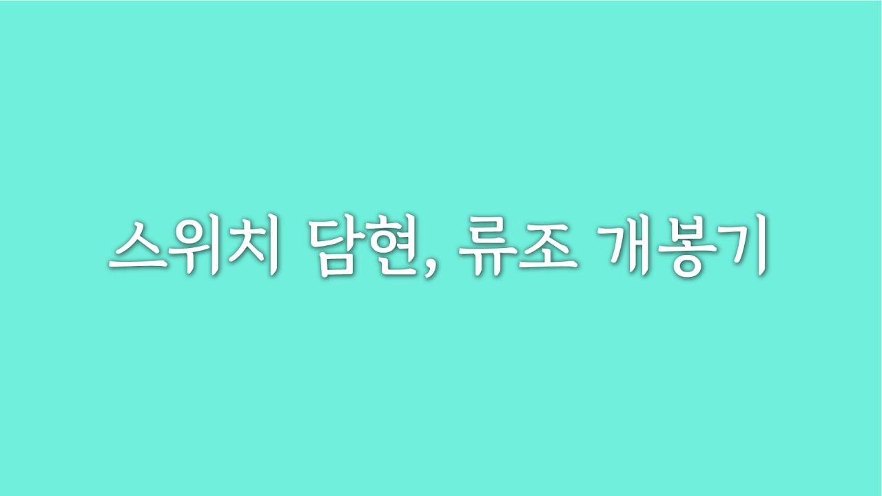 구체관절인형 스위치 담현 개봉기 + 류조 / BJD SWITCH DAMHYEON Opening