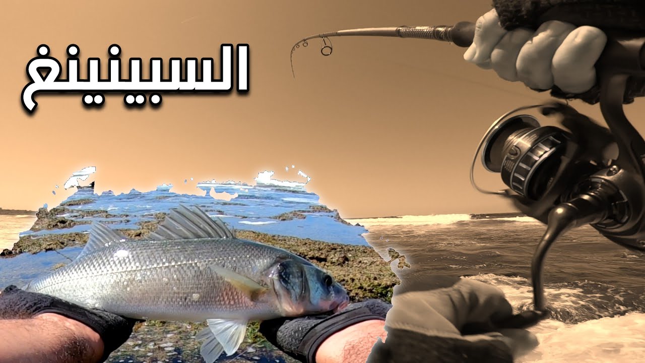 تعلم الصيد بالسبينينغ techniques de peche en spining 