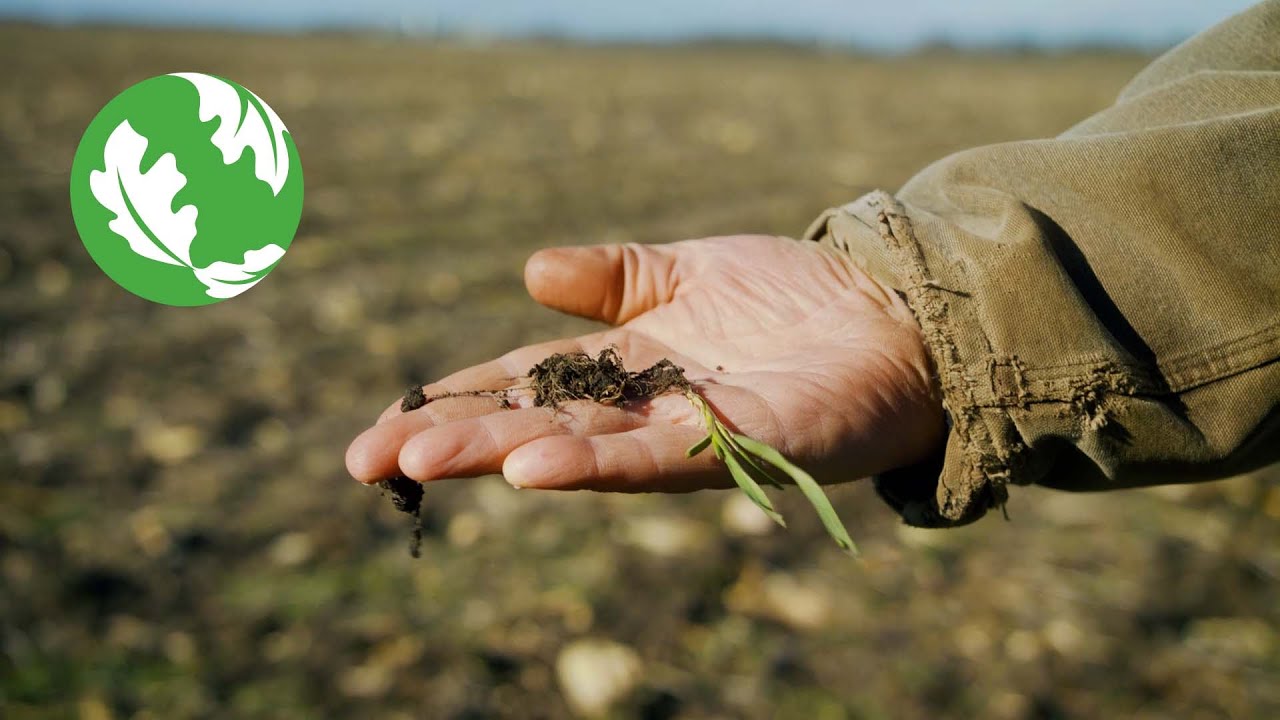 Saving Our Soils