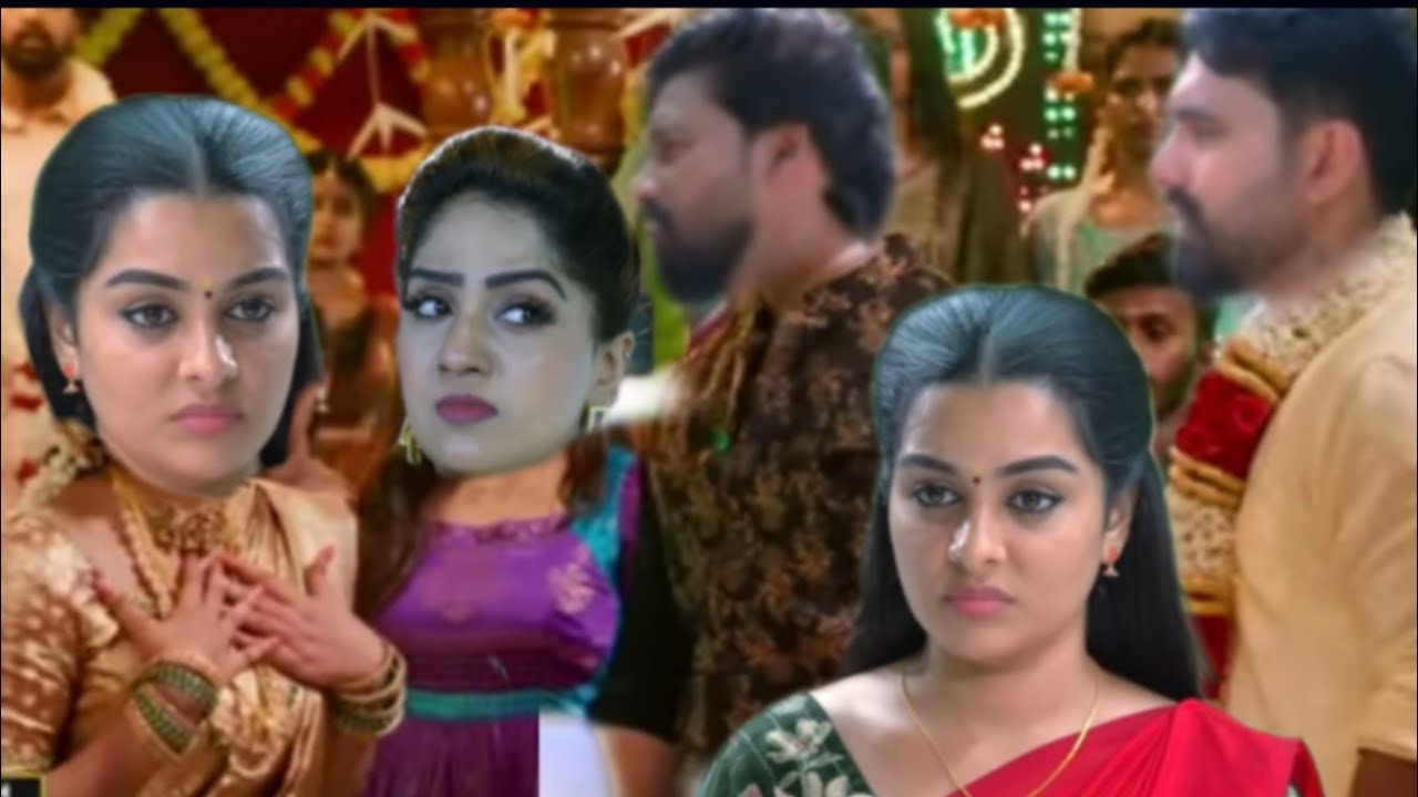 പ്രിയനുമായി ഒരിക്കലും ഒരു ദാമ്പത്യ ജീവിതം ഉണ്ടാവില്ലെന്ന് ശബദം ചെയ്തു പാറു 