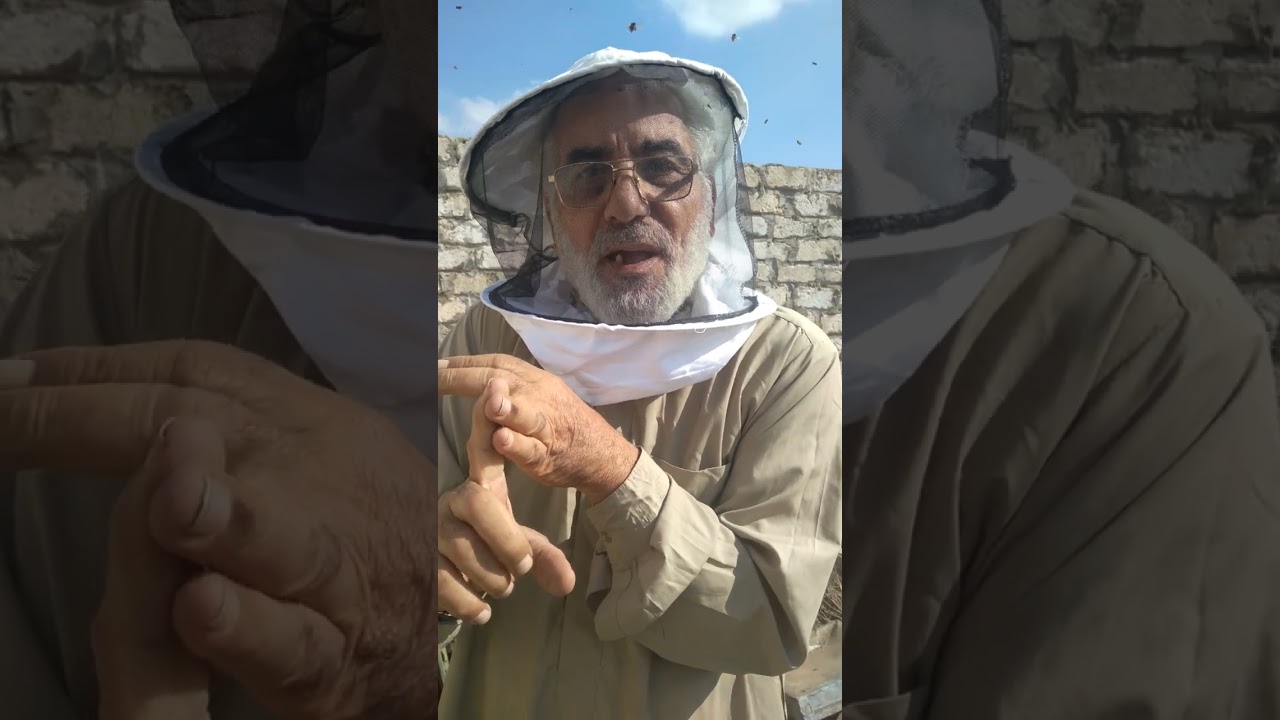 أسهل طريقة لإستخدام حمض الاكساليك والتخلص من الفاروا والنوزيما وكافة ألأمراض٠