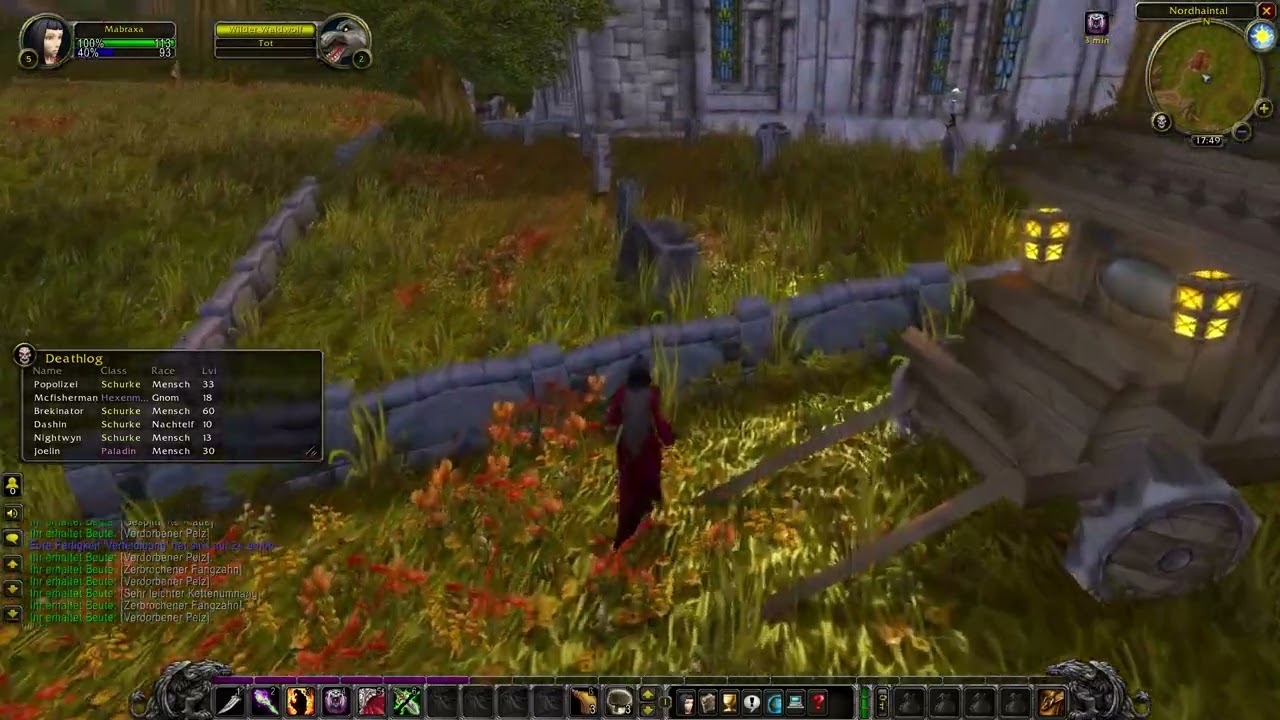 World of Warcraft Hexenmeister Gameplay/Hardcore