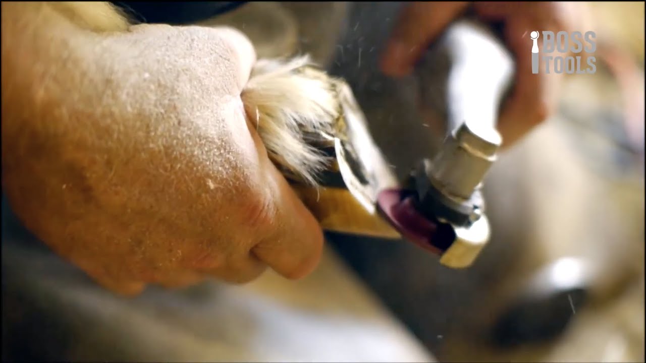 Hoof Boss User Goat Trimming Tip