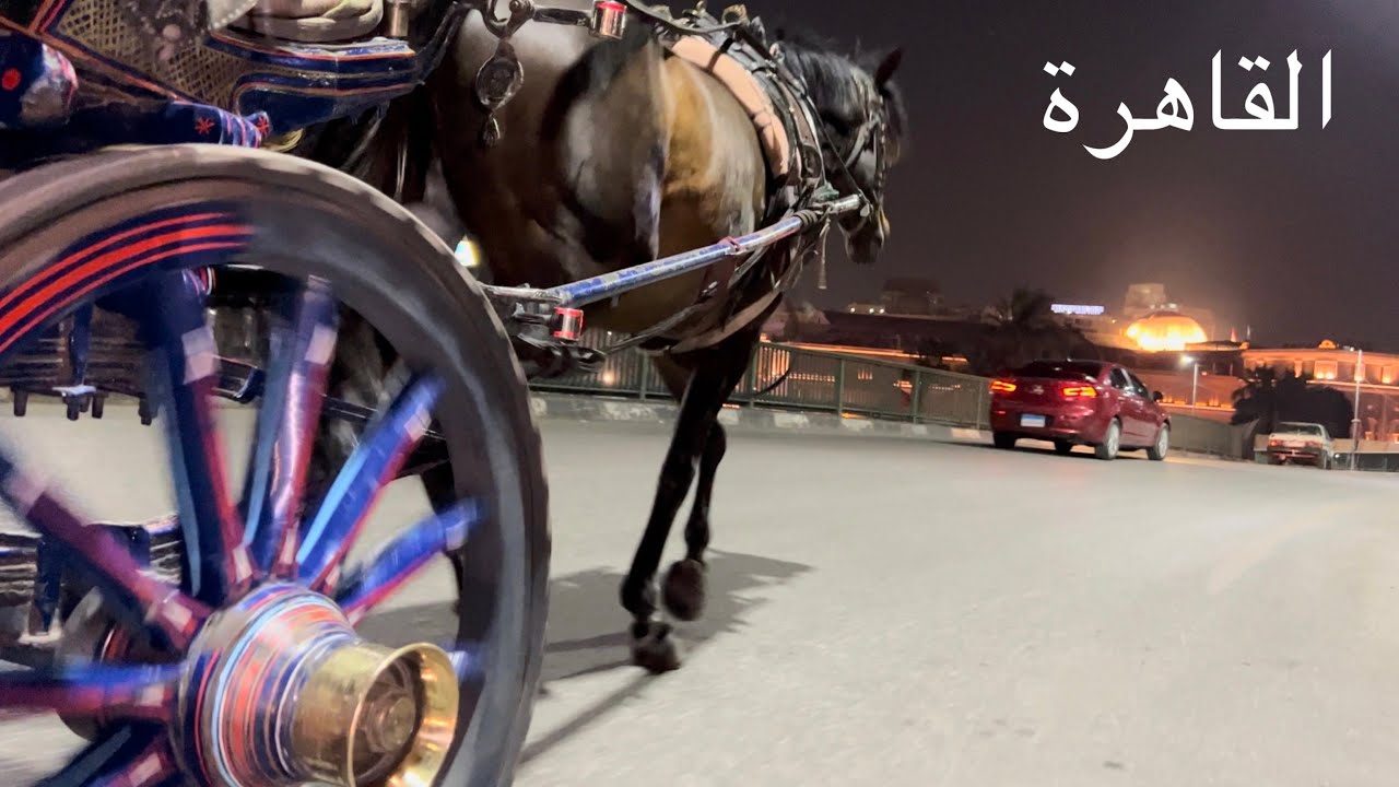 ( 105 ) مصر وجولة ليلية برمضان وقصة الحنطور على نهر النيل 2023 الجزء 2