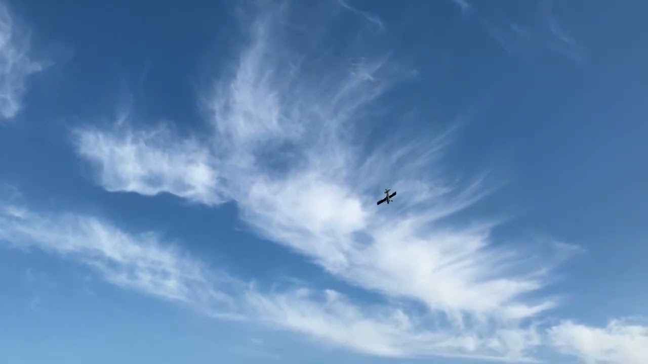 Seagull Models ShockCup