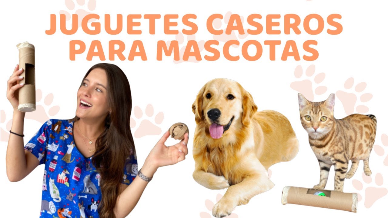 JUGUETES CASEROS Y FÁCILES PARA PERROS Y GATOS - Lauvet