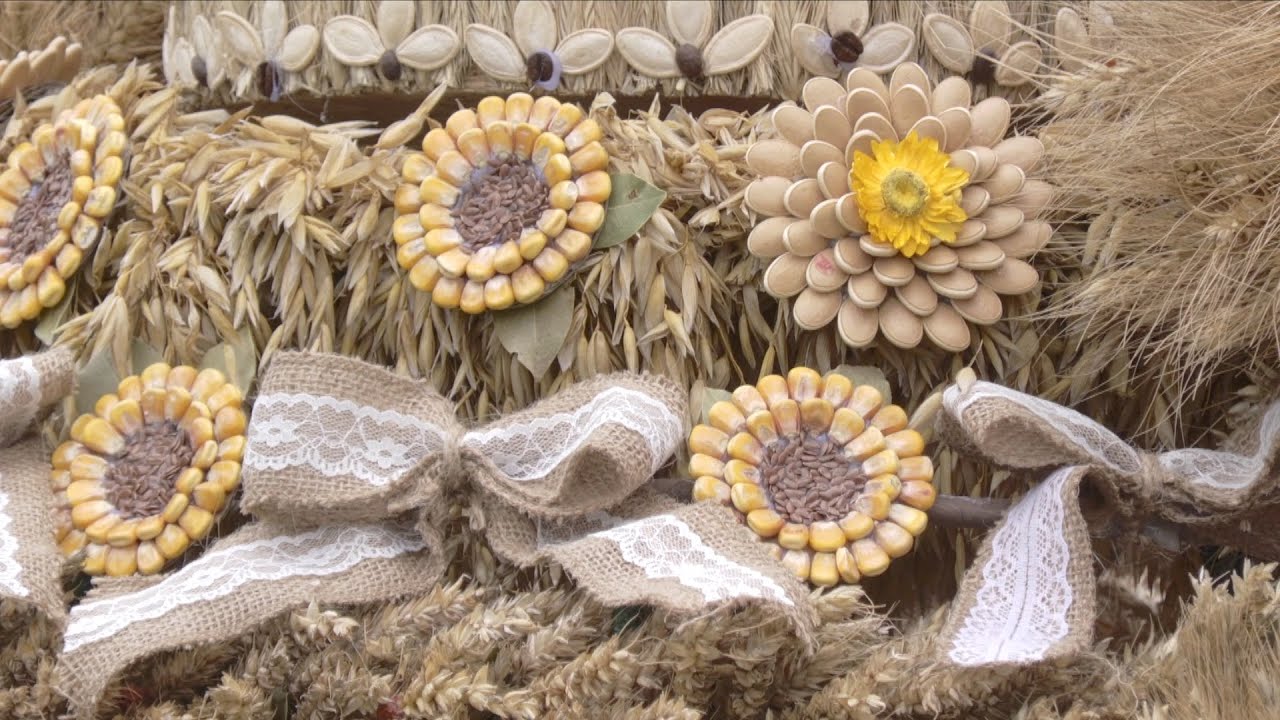 Święto Plonów w Siedlcu: tradycja, lokalne smaki i wspólna zabawa