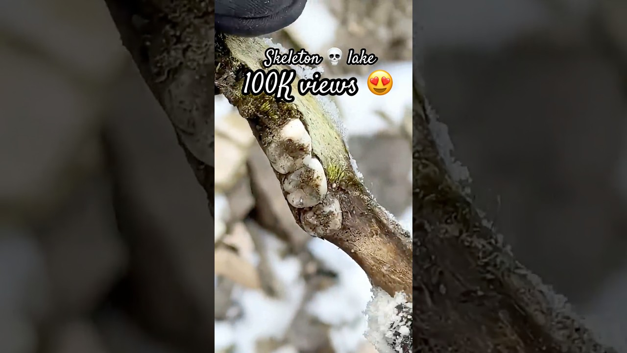 Roopkund ya Skeleton💀lake #travelshorts #shortvideo #youtubeshorts #travel #roopkund #roopkundlake