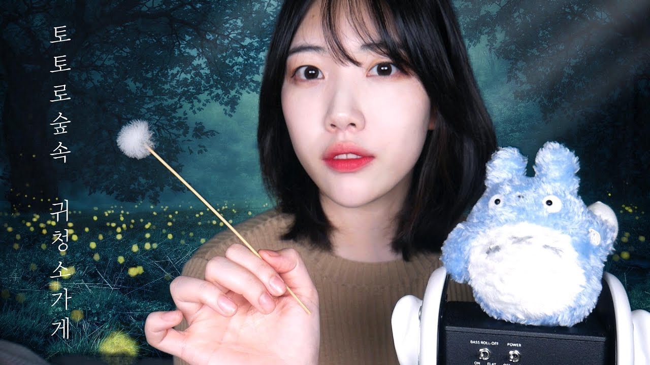 ASMR 토토로 숲속에서 힐링 귀청소 받고가세요 / 귀청소 롤플레이 / Ear Cleaning ASMR