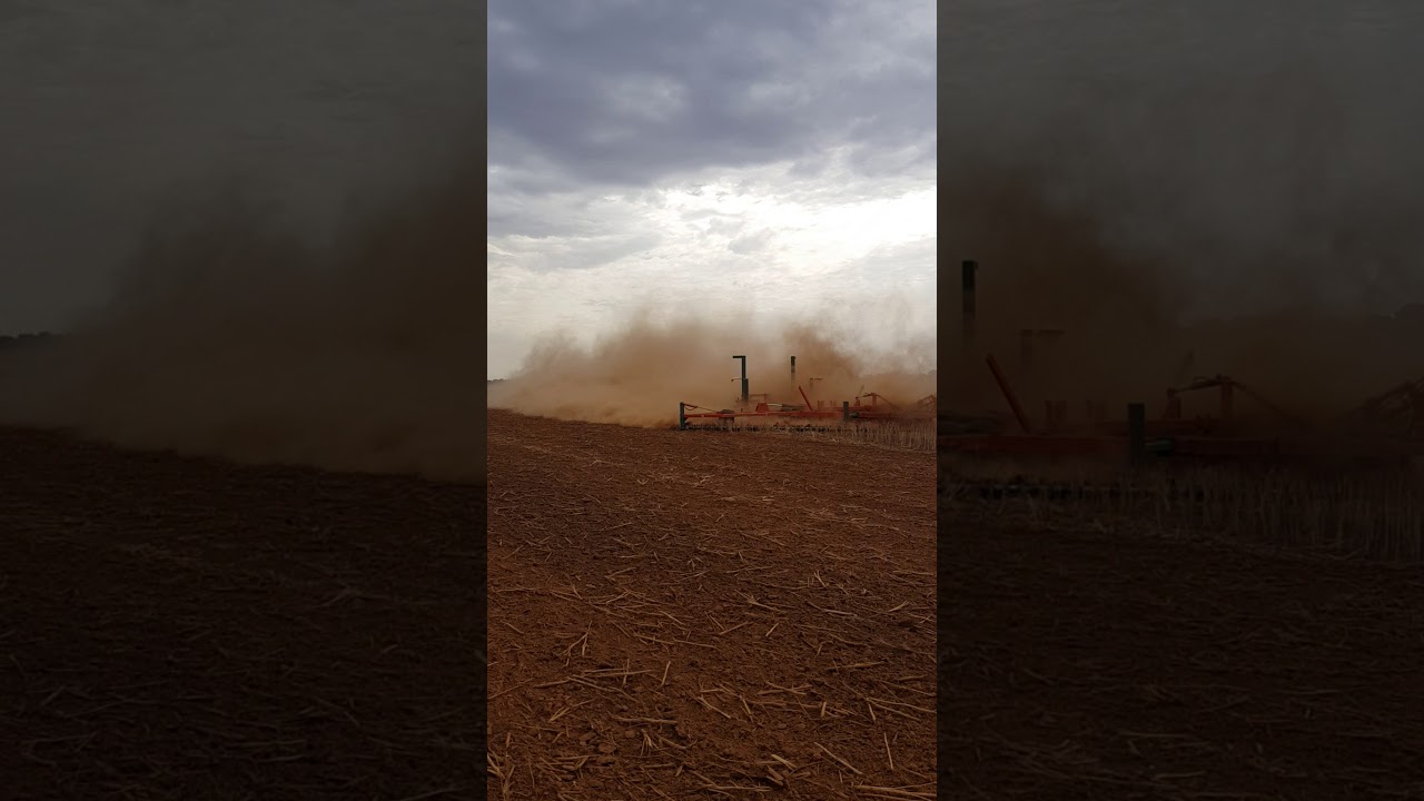 BROOKFIELD&reg; D110 ChainBar - Canola Stubble