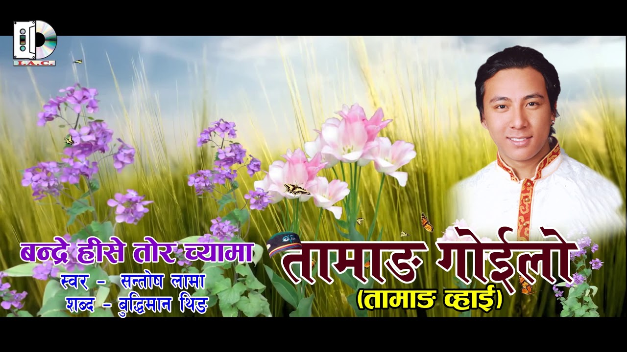 Tamang Song Bandrey Hinsea Tor Chayama //  बन्द्रे   हिसे तोर च्यामा // by Santosh Lama