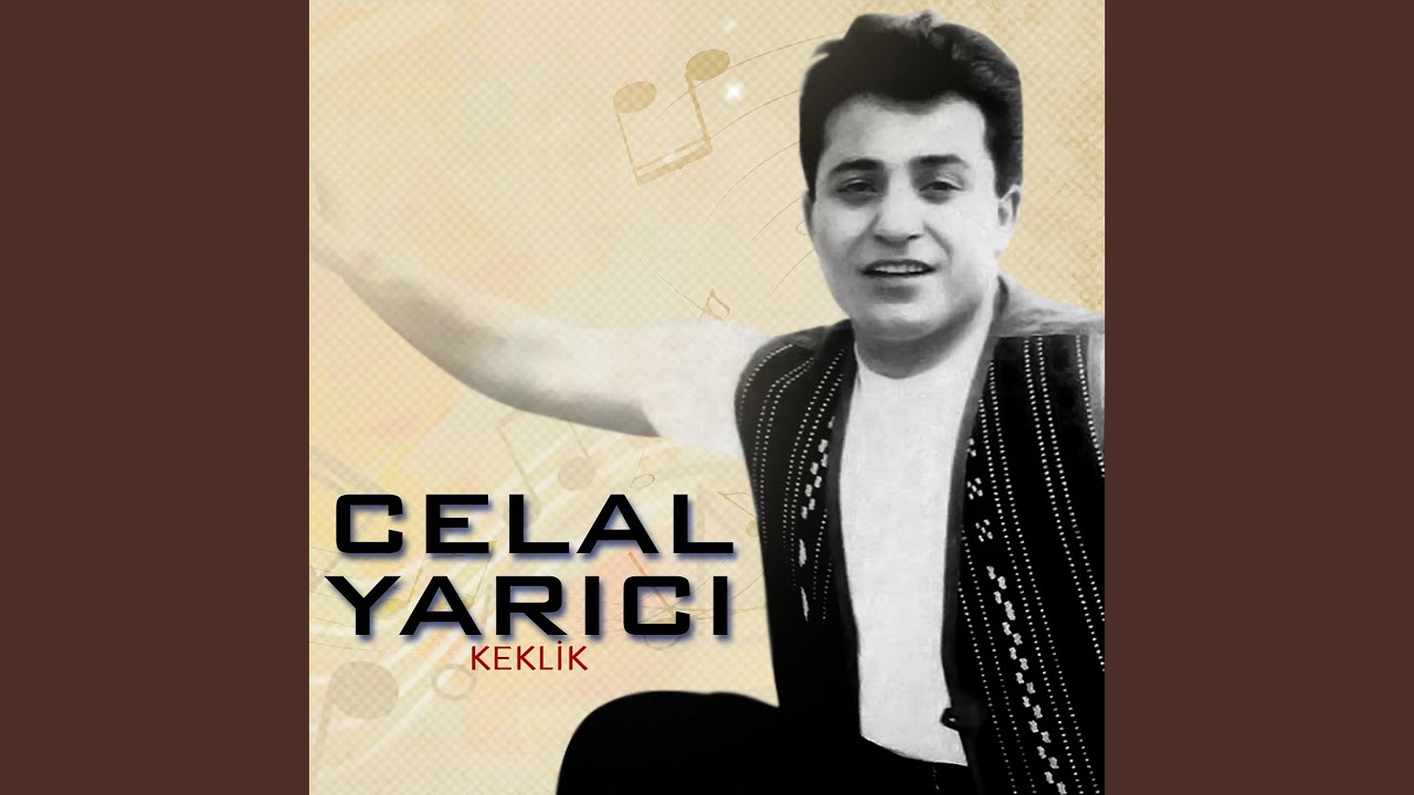 Görüyorsun Hayatımı