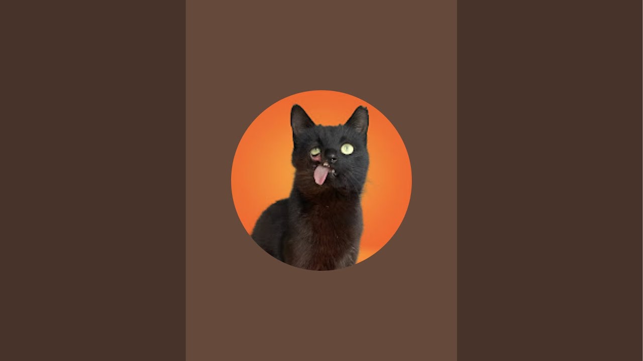I Am Raven  is live