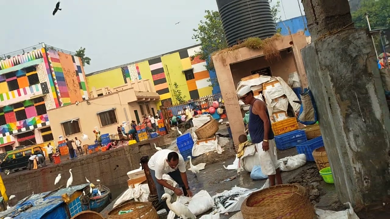 fishing boat in kolaba fish market # fish