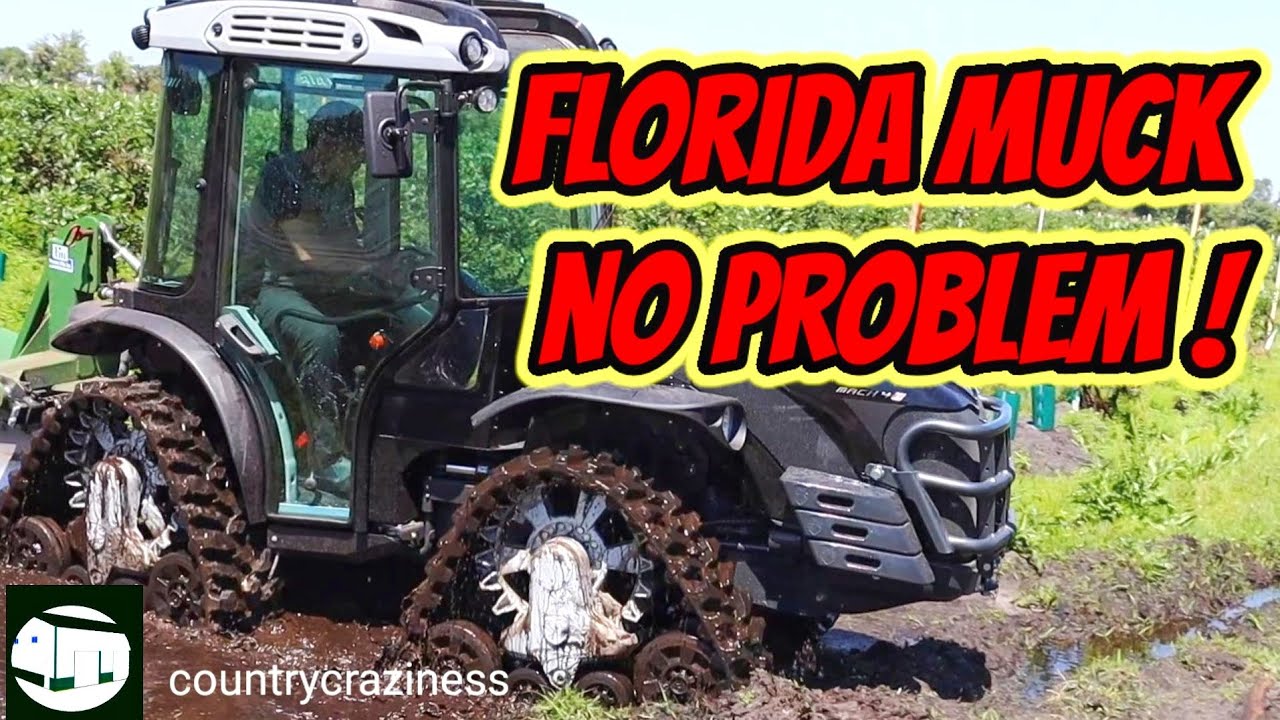 Antonio Carraro tractor Mach IV r easily cultivates a muddy Florida blueberry patch.