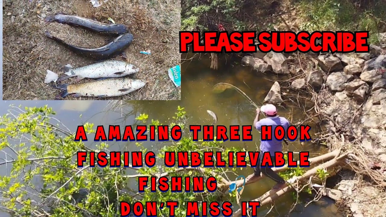 Amazing fishing uniquestyle fishing hook fishing mergal and catfish catching Nani's Gang Fishing