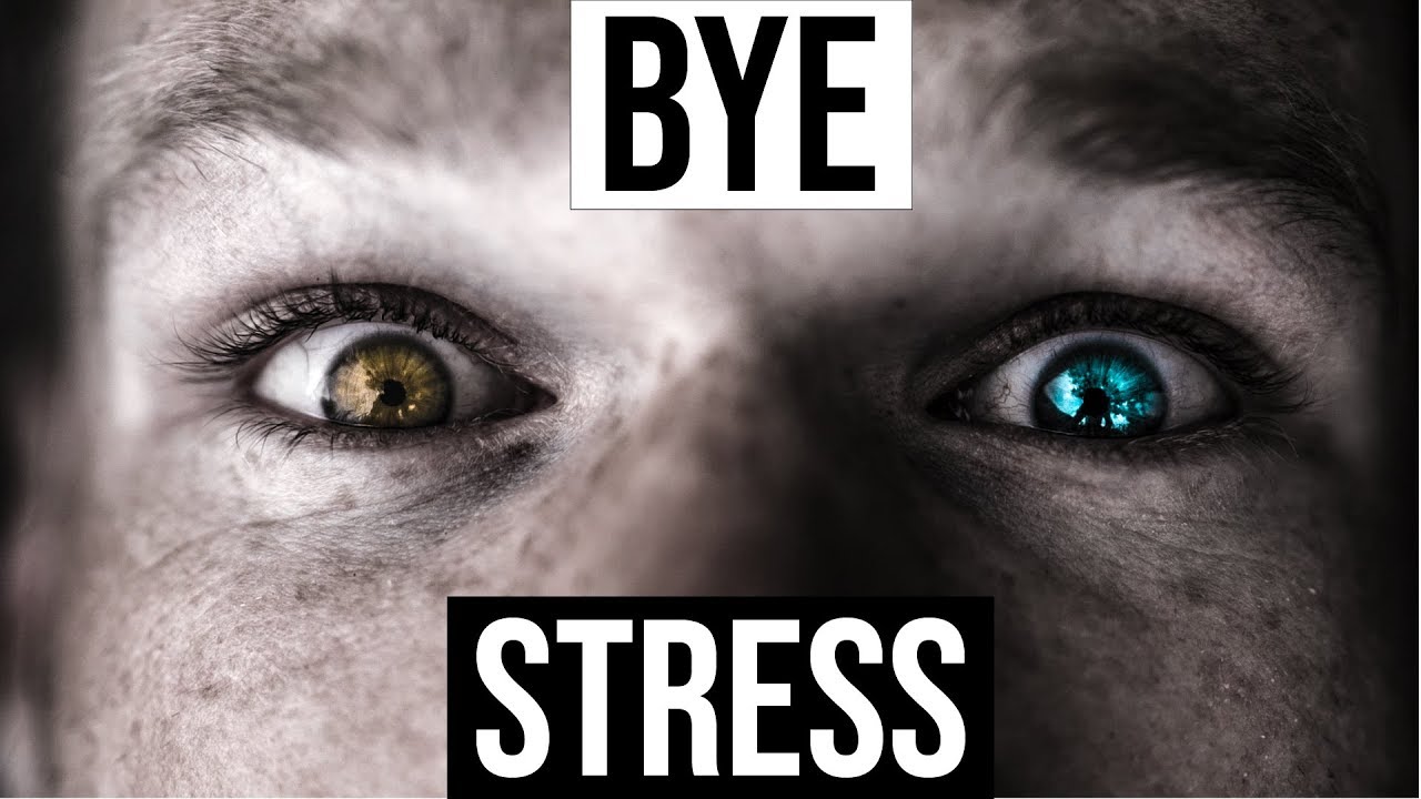 Goodbye Stress! With TRE | My Favorite Stress Release Tool Of 2021