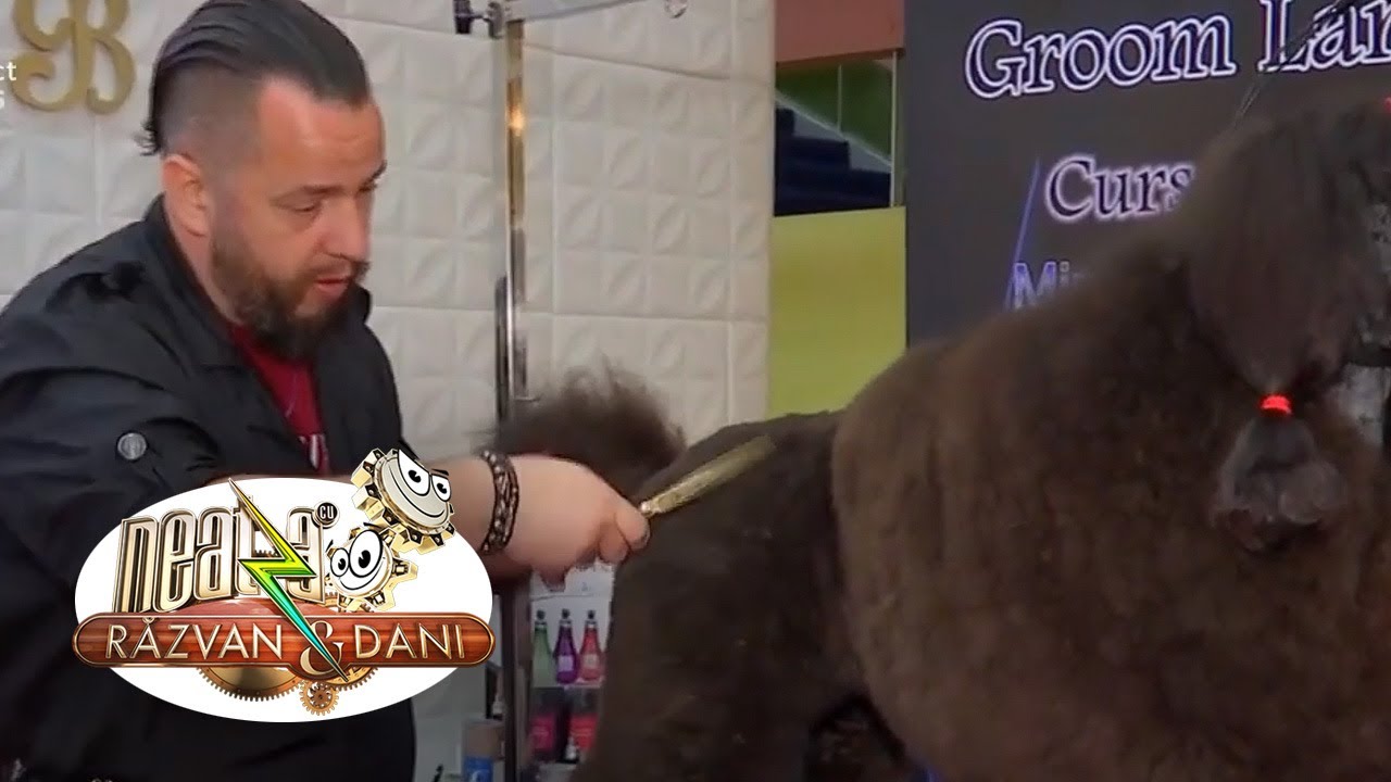 PetExpo, târg dedicat animalelor! Ilie Pană, organizator parc de distracții pentru animale