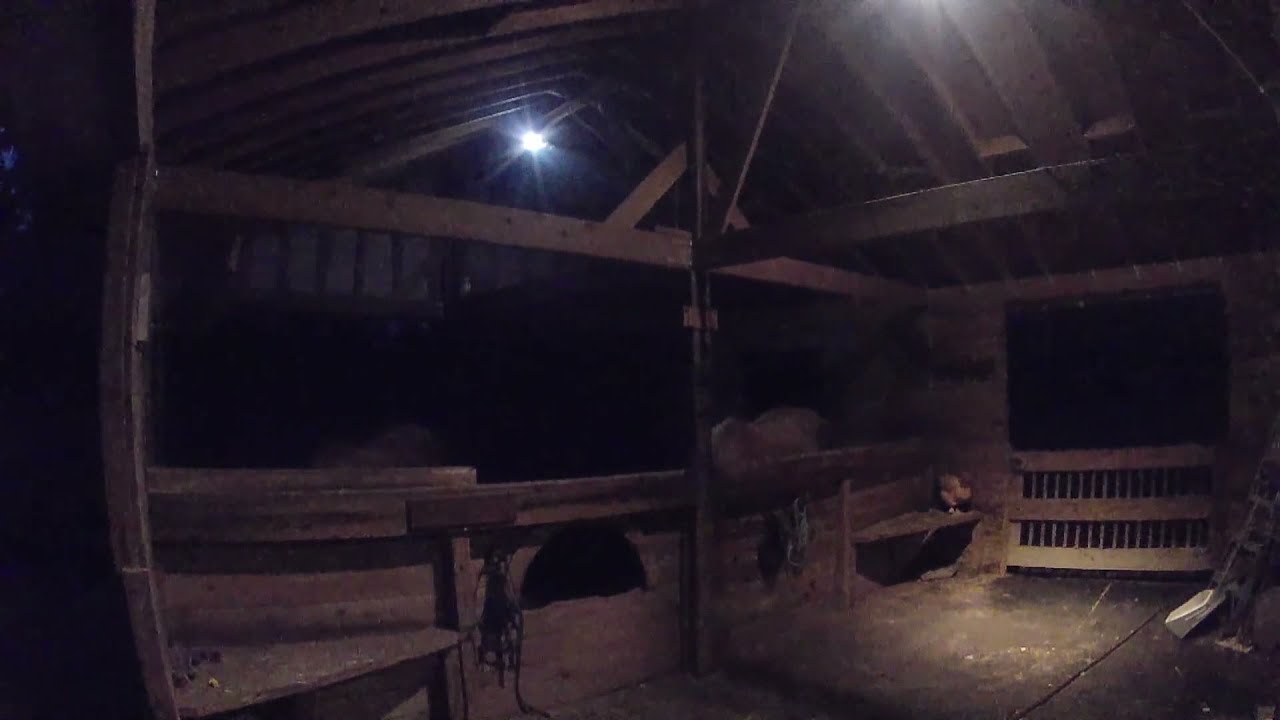 Horse Barn ASMR at Night