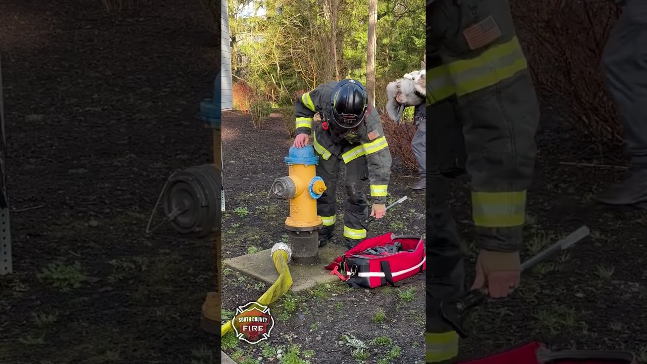 Residential house fire response in Everett
