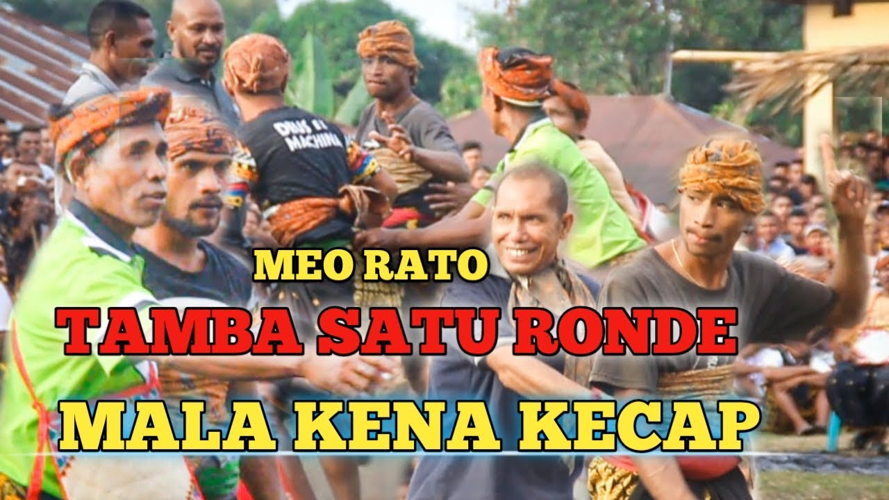BUDAYA TINJU ADAT SAGI DI NGADA - SOA MINTA SATU RONDE KENA KECAP DI MUKA