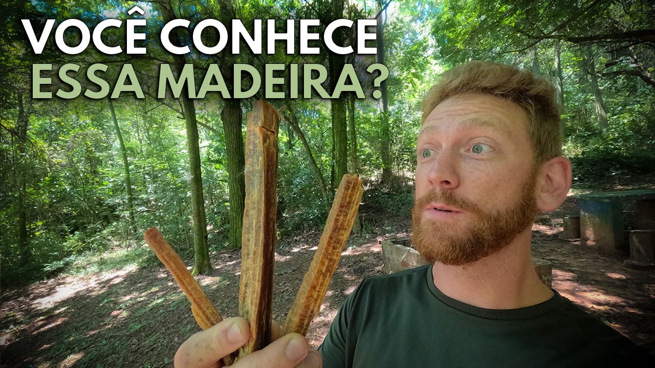 Você conhece o FATWOOD?