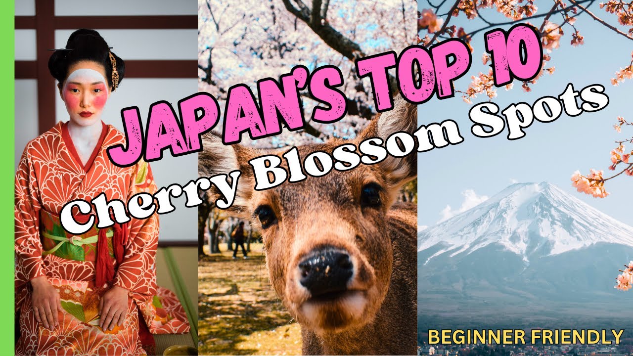 Top 10 Cherry Blossom Spots in JAPAN | First Time Visitors | Tokyo, Kyoto, Osaka, Nara, Mt Fuji