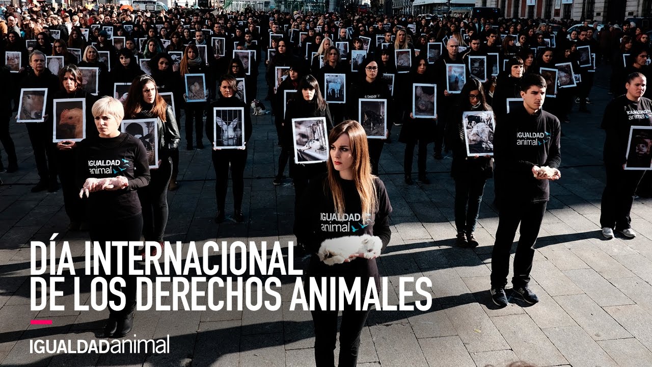 D&iacute;a de los Derechos Animales