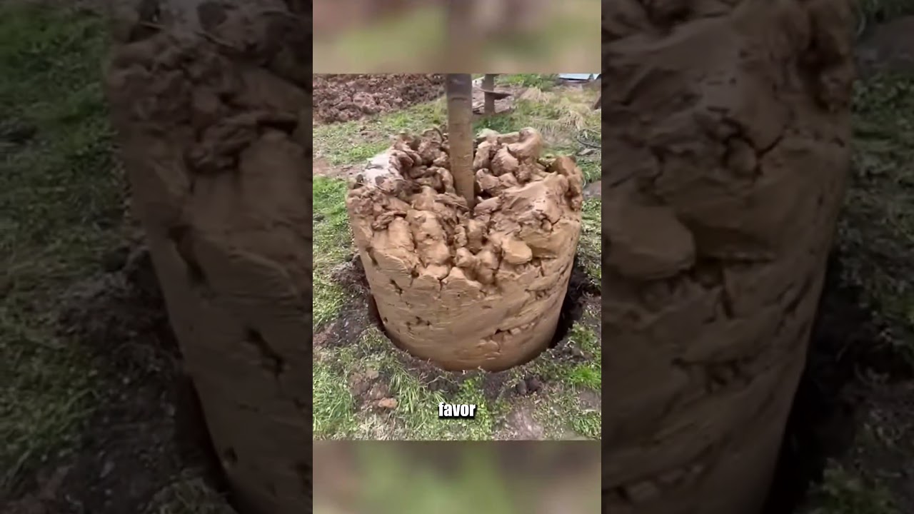 Самый старый септик! 🤢