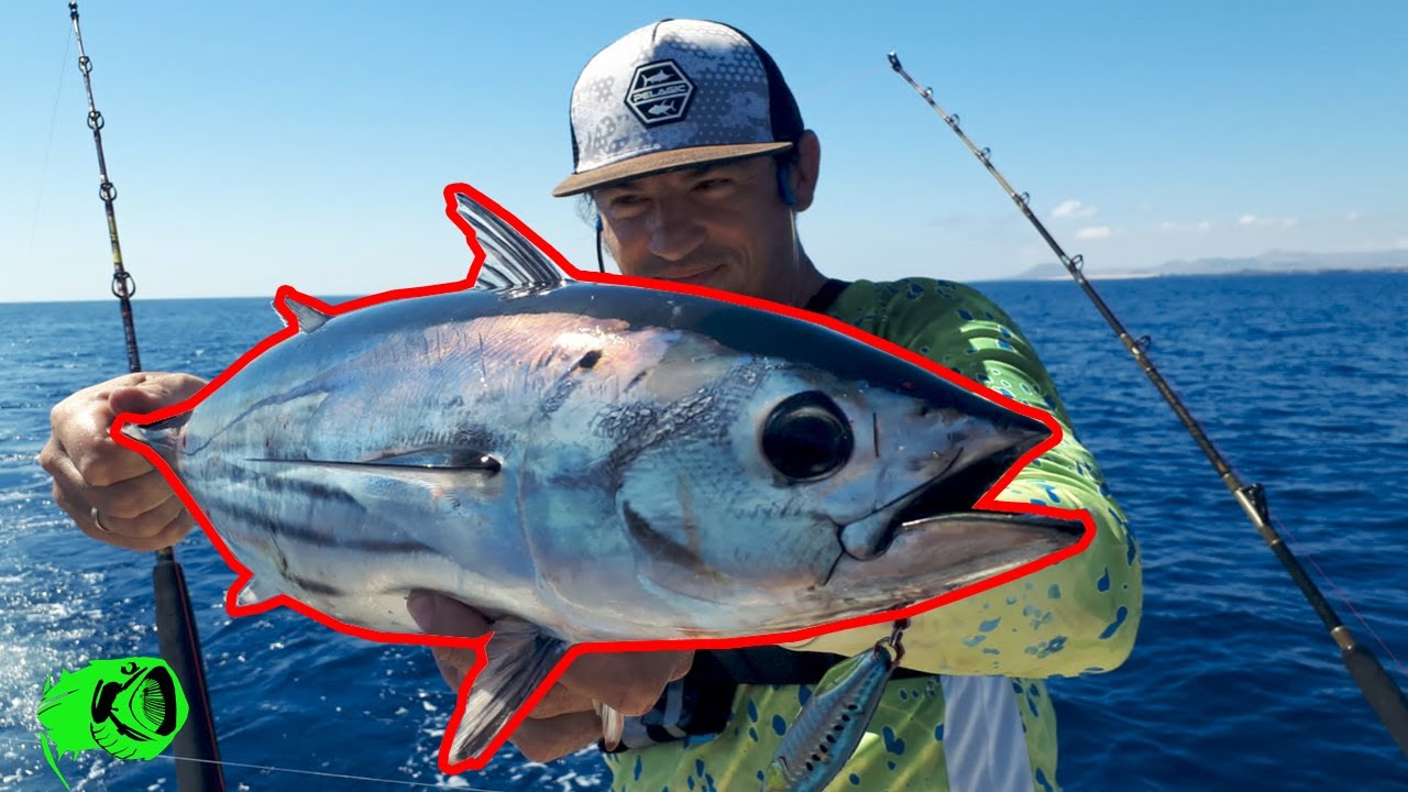 fishing Canary Islands special, from boat, kayak and shore english sub