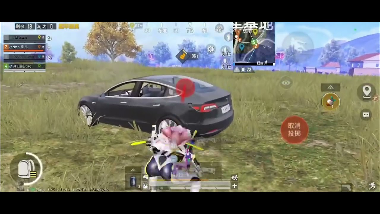 STE • ShanZ latest PEL scrims montage | STE • 33z