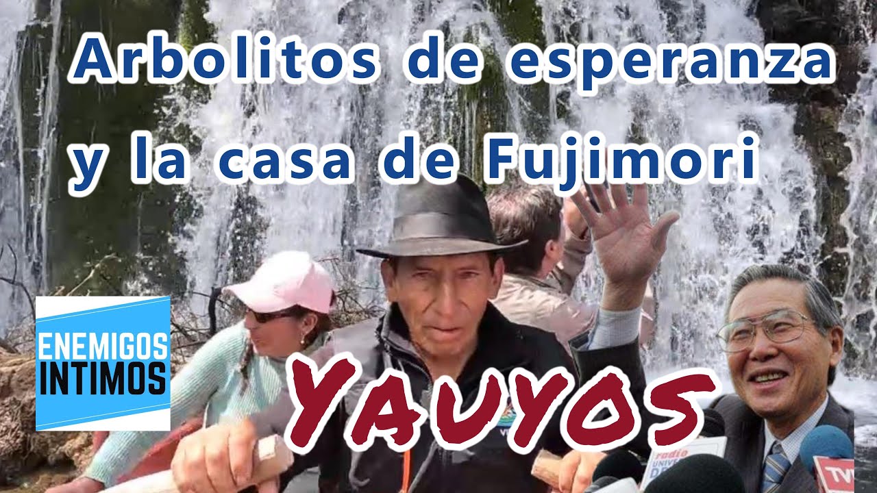 Explorando la magia de Nor Yauyos: Arbolitos de la esperanza y la casa de Fujimori