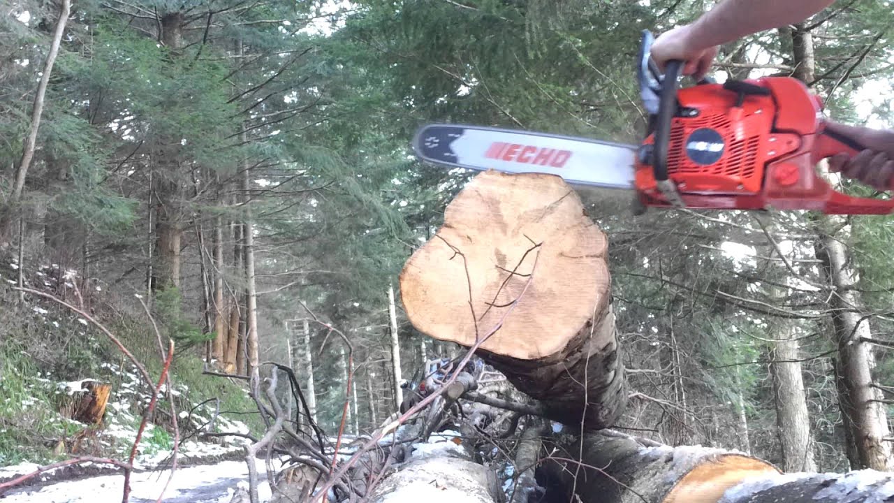 Echo 620 SX vs Husqvarna 560 XP