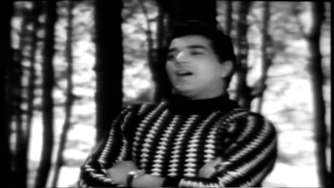 Ek Haseen Sham Ko Dil Mera Kho Gaya