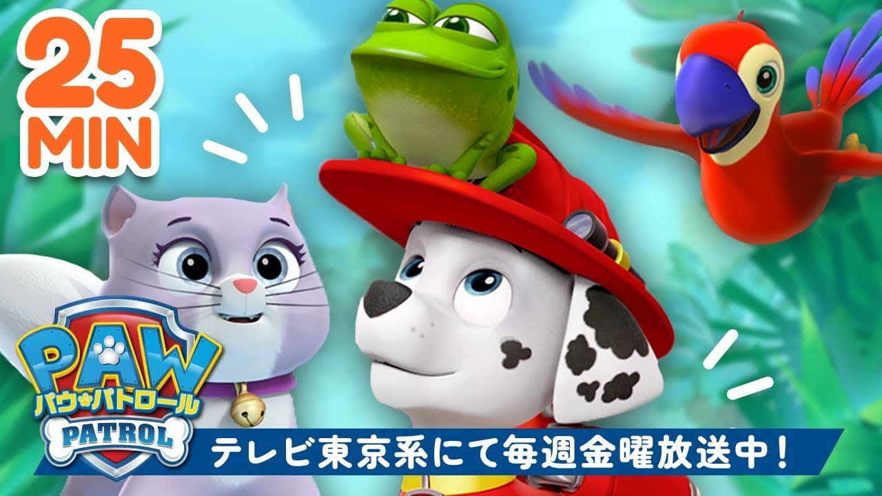 パウ・パトロール | マーシャルの動物レスキュー特集！| テレビ東京系にて放送中