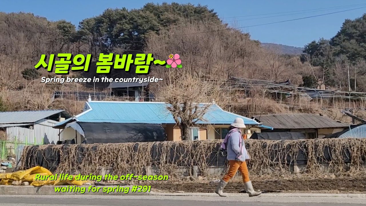 ENG | 시골의 봄햇살아래 느리게 살아가는 시골일상 🪴 