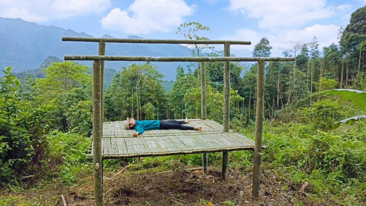 Bamboo house building, building a new life | Forest life - Ep.1