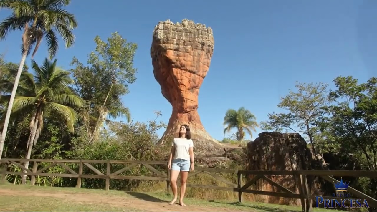 Radio Princesa    Campanha Energia Verde no Verão