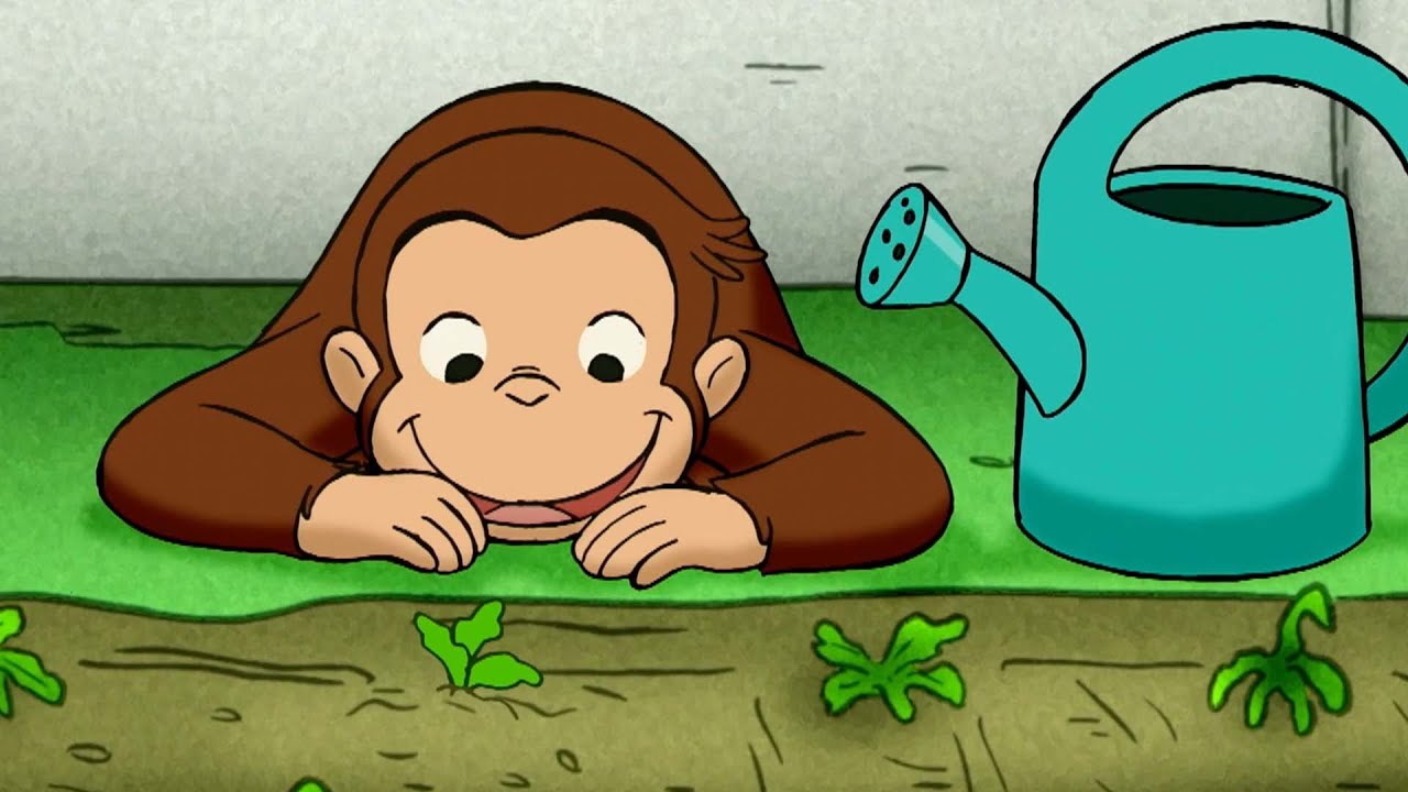 Curioso Come George 🐵 Hobby all'aperto 🐵Cartoni per Bambini