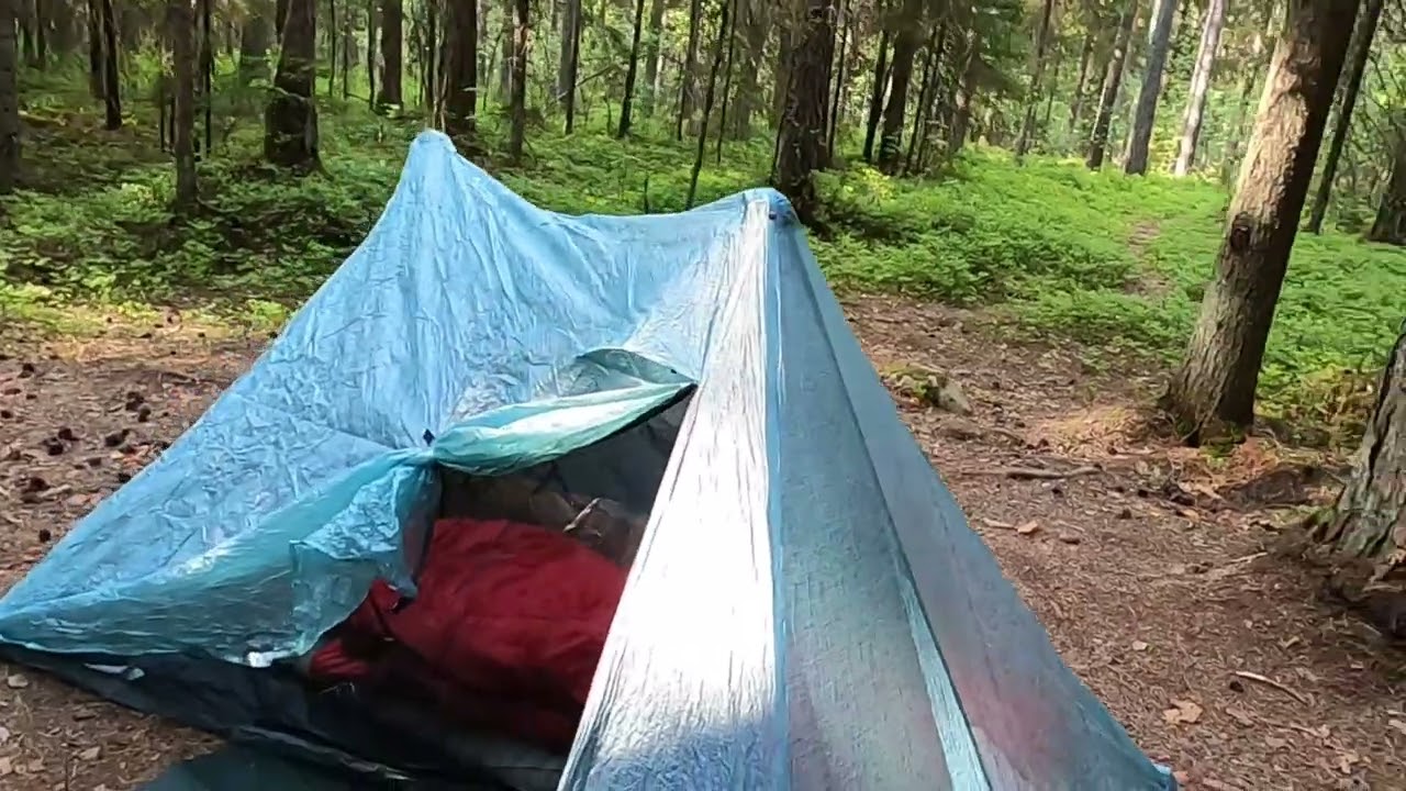 Kurjenrahka vaelllus Kesäkuu 2023